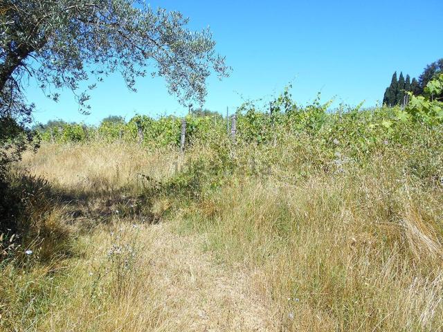 Terreno in vendita a Siena, Toscana