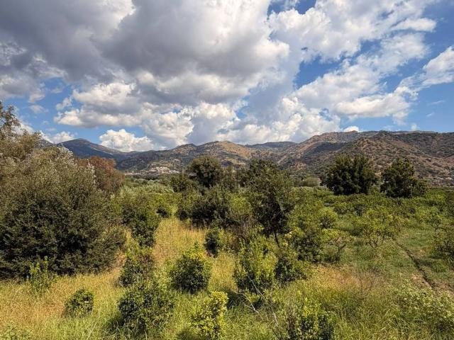 Terreno in vendita a Liberto, Fiumefreddo di Sicilia