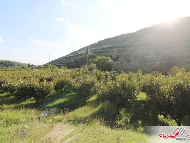 Terreno in vendita a Nord-Ovest, Brenzone