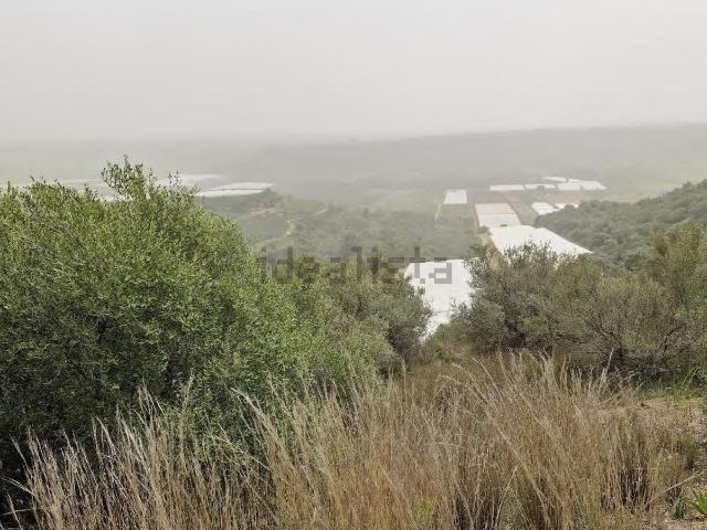 Terreno in vendita a Leva, Mazzarrone