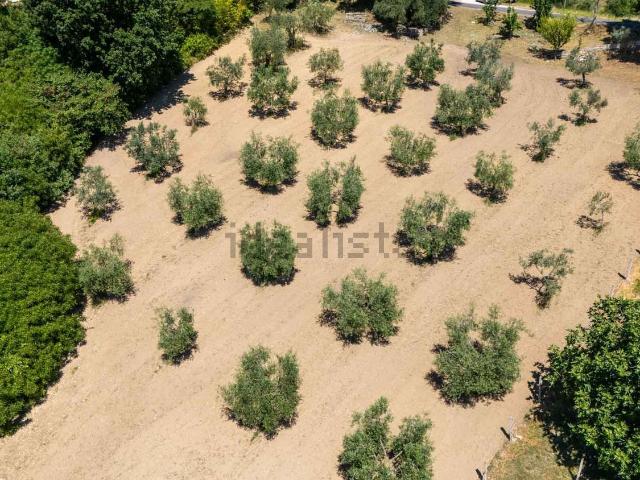 Terreno in vendita a Salisano, Lazio