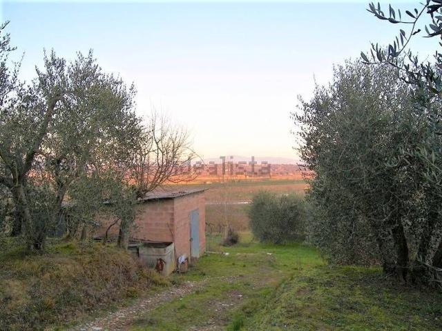 Terreno in vendita a Foiano Della Chiana, Toscana