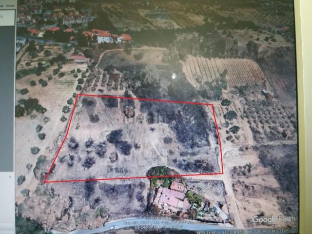 Terreno in vendita a Calabria, Cosenza