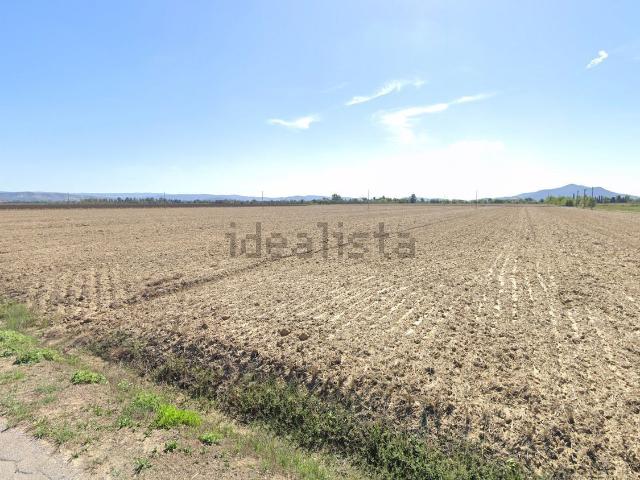 Terreno in vendita a Principina Terra, Monte Argentario