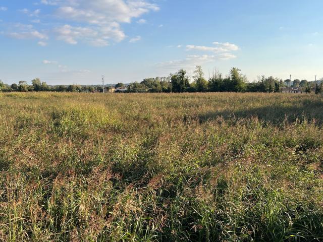 Terreno in vendita a Mongabia, Castelnuovo del Garda