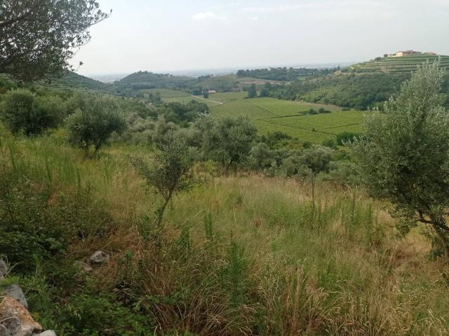 Terreno in vendita a Quinzano, Brenzone