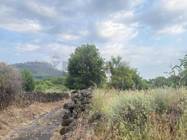 Terreno in vendita a Nicolosi, Sicilia