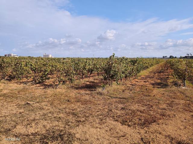 Terreno in vendita a Citta, Petrosino
