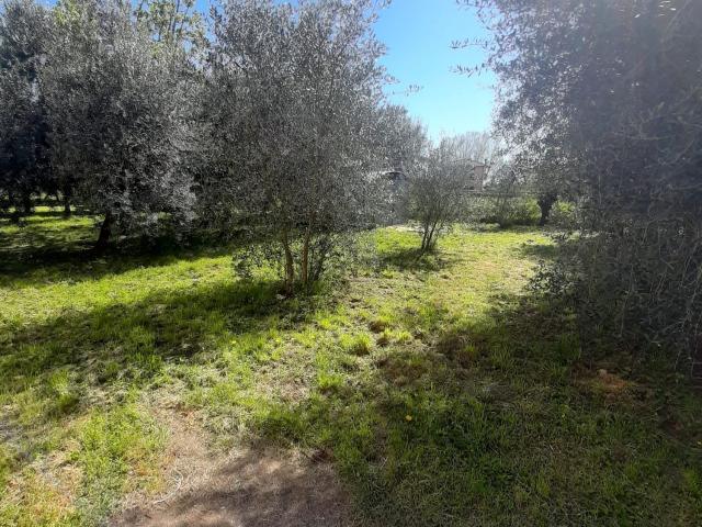 Terreno in vendita a Uzzano E Castello, Toscana