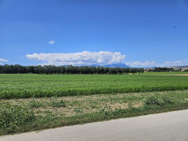 Terreno in vendita a Rosciano, Abruzzo
