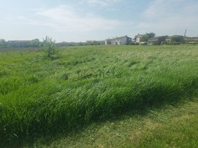 Terreno in vendita a Isola Della Scala, Veneto