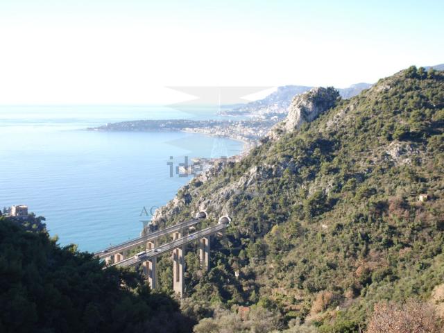 Terreno in vendita a Ventimiglia, Liguria