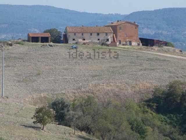 Terreno in vendita a Rencine, Asciano