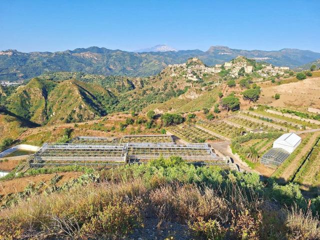Terreno in vendita a Santa Teresa Di Riva, Sicilia