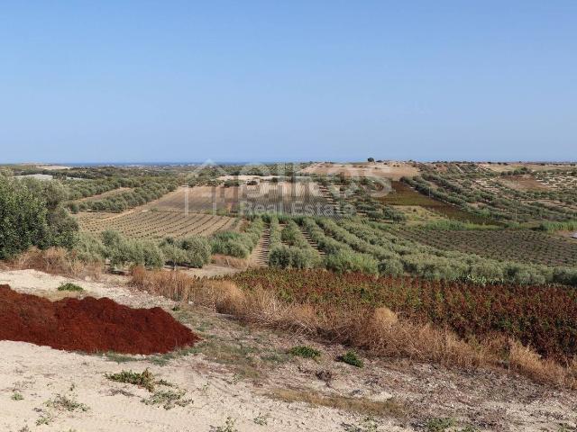 Terreno in vendita a Noto, Sicilia