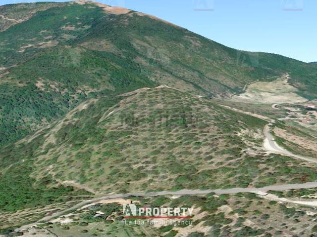 Terreno in vendita a Mompeo, Lazio