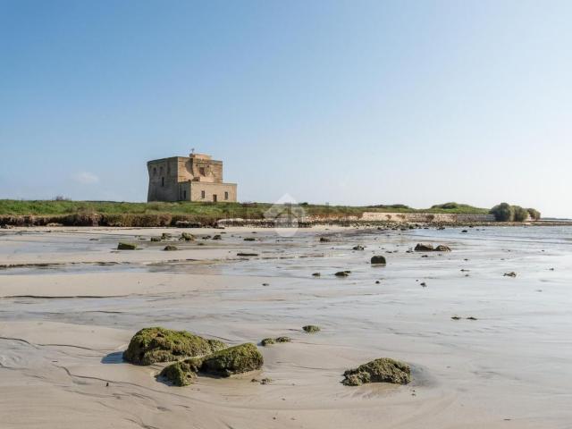 Terreno in vendita a Puglia, Brindisi