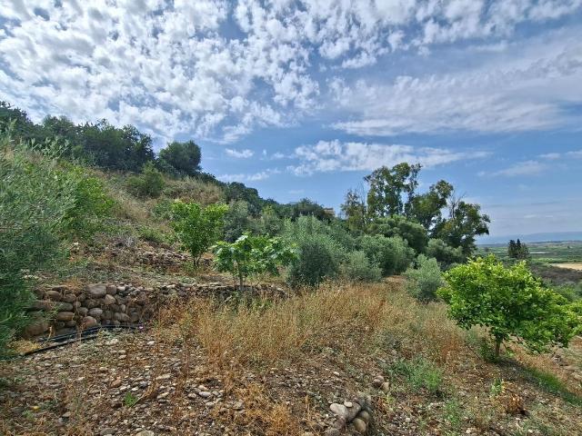 Terreno in vendita a Belpasso, Sicilia