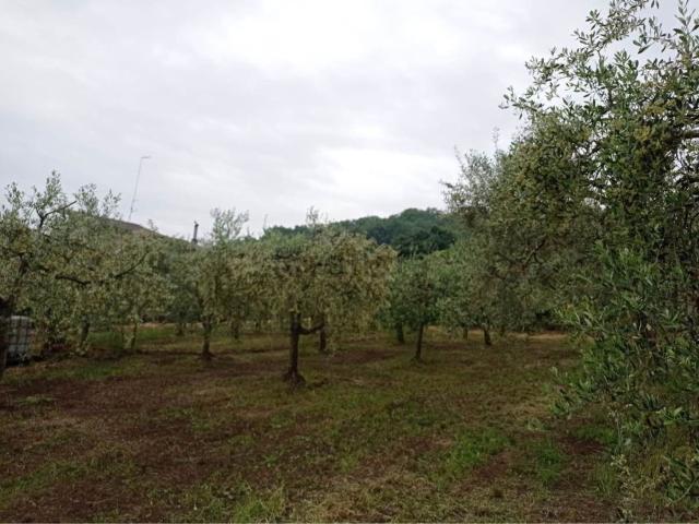 Terreno in vendita a Torre Le Nocelle, Campania