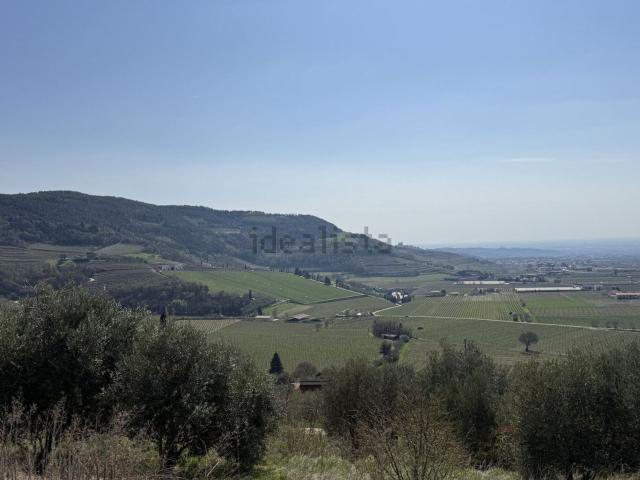 Terreno in vendita a Tregnago, Veneto