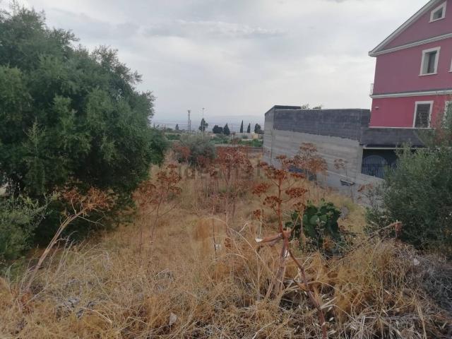 Terreno in vendita a Santa Maria Di Licodia, Sicilia