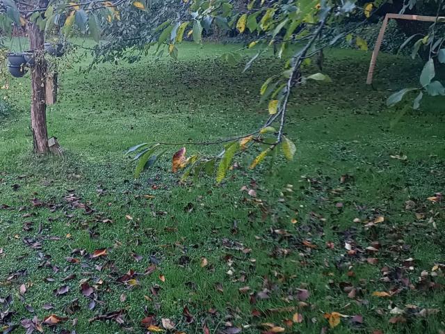 Terreno in vendita a Susegana, Veneto