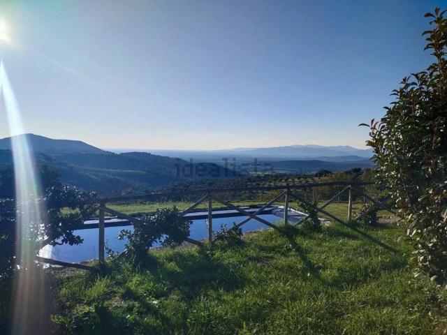 Terreno in vendita a Campagnatico, Toscana