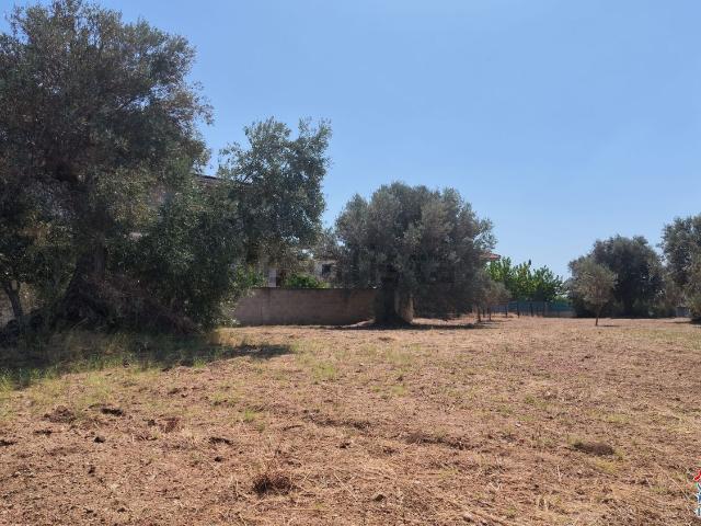 Terreno in vendita a Siderno, Calabria