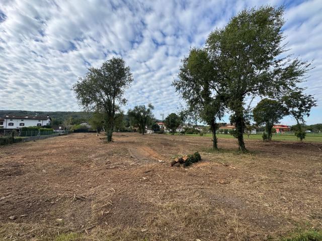 Terreno in vendita a Savogna D'isonzo, Friuli-Venezia Giulia