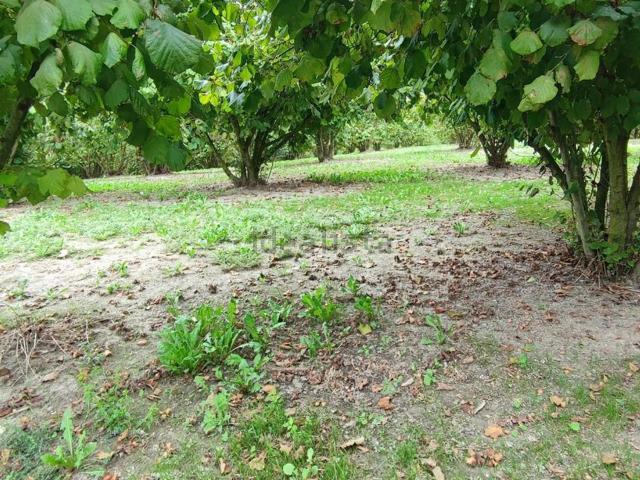 Terreno in vendita a Piemonte, Cuneo