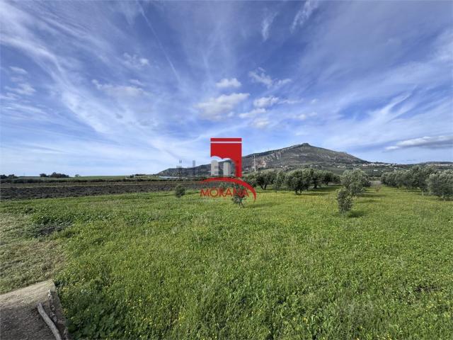 Terreno in vendita a Erice, Sicilia