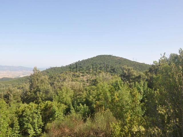 Terreno in vendita a Rosignano Marittimo, Toscana