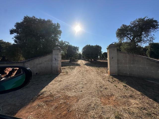Terreno in vendita a Puglia, Brindisi