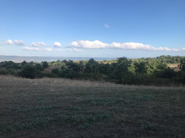 Terreno in vendita a Gradoli, Lazio