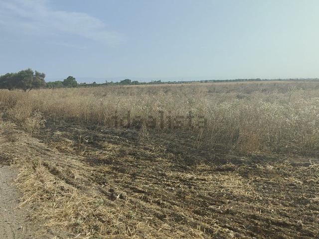 Terreno in vendita a Puglia, Foggia