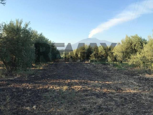 Terreno in vendita a Altarello, Belpasso