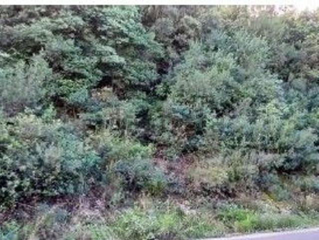 Terreno in vendita a Filare, Bivio Di Ravi