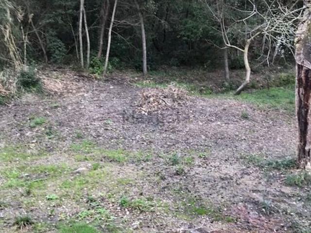 Terreno in vendita a Monte Argentario, Convento Padri Passionisti