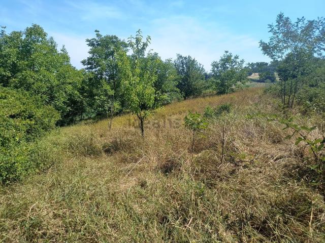 Terreno in vendita a Piemonte, Alessandria