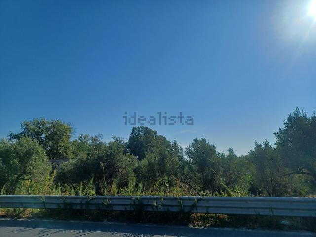 Terreno in vendita a Calabria, Catanzaro