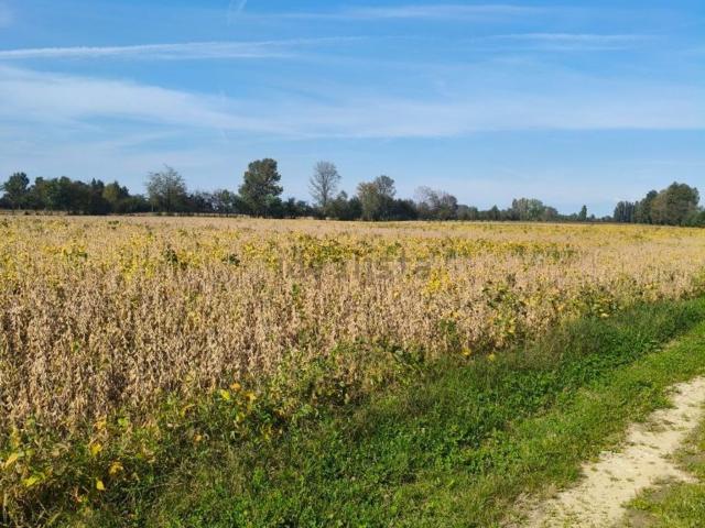 Terreno in vendita a Selvazzano Dentro, Veneto