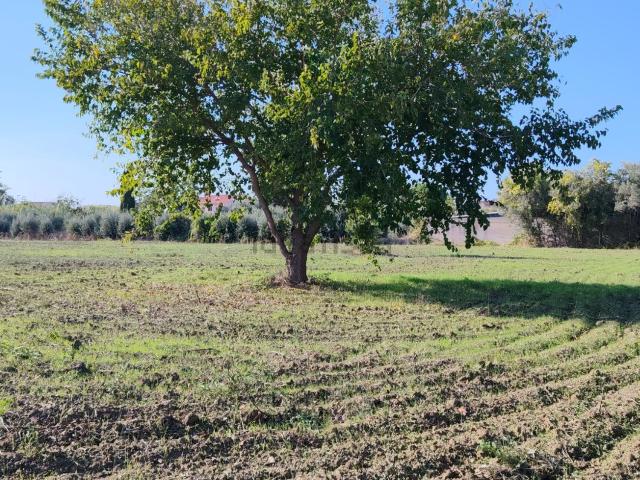 Terreno in vendita a Oreto, Barcellona Pozzo di Gotto