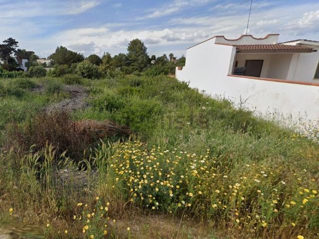 Terreno in vendita a Puglia, Taranto