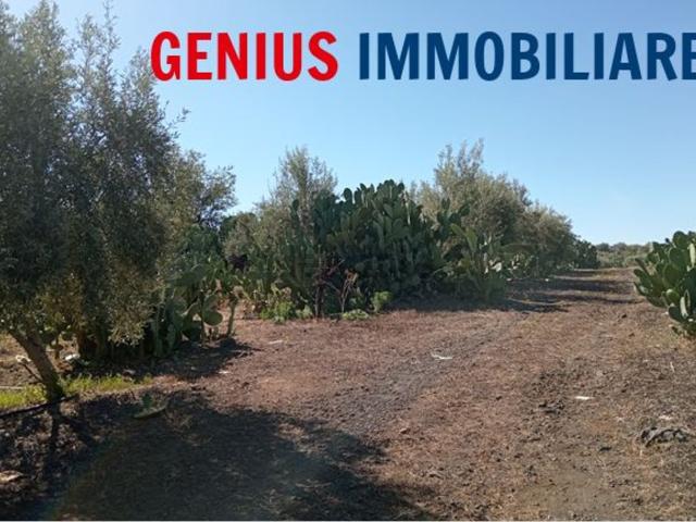 Terreno in vendita a Biancavilla, Sicilia
