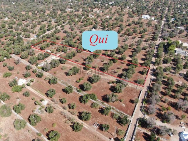 Terreno in vendita a Contrada Spierti, Puglia