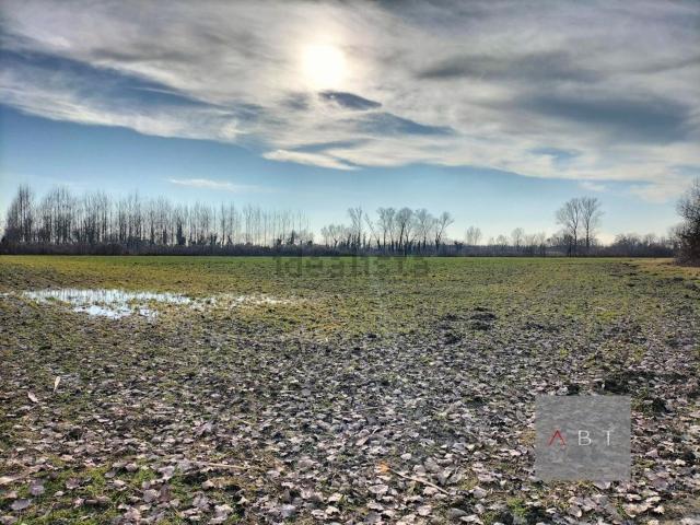 Terreno in vendita a Torreselle, Piombino Dese
