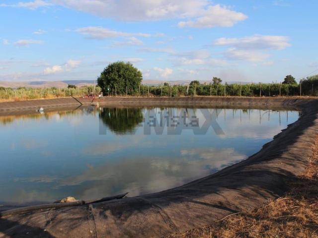 Terreno in vendita a Chiaramonte Gulfi, Sicilia