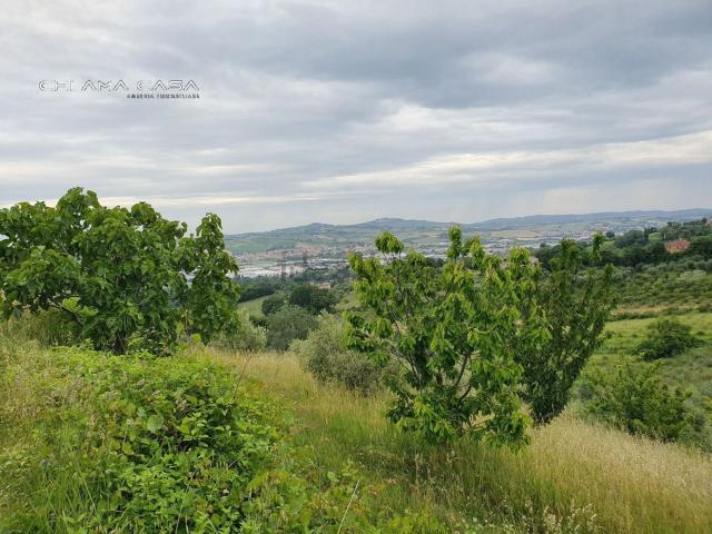 Terreno in vendita a Vallefoglia, Marche
