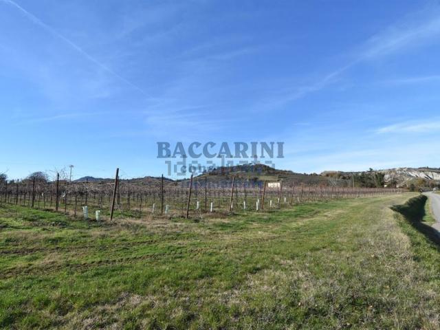 Terreno in vendita a Unione della Romagna Faentina, Brisighella