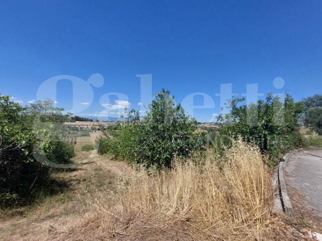 Terreno in vendita a Mosciano Sant'angelo, Abruzzo